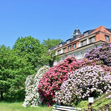 Ferienwohnung Natur Und Kunst Dresden Ngoại thất bức ảnh
