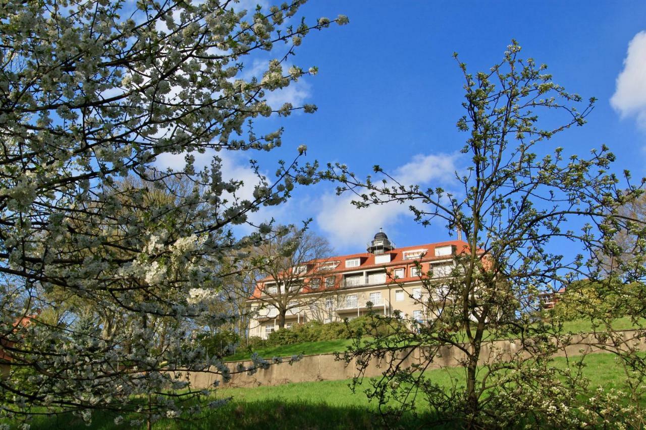 Ferienwohnung Natur Und Kunst Dresden Ngoại thất bức ảnh