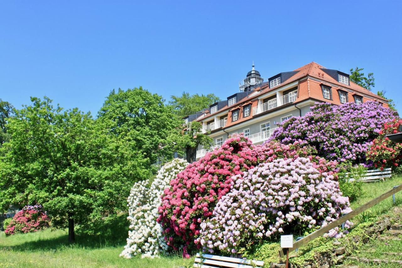 Ferienwohnung Natur Und Kunst Dresden Ngoại thất bức ảnh