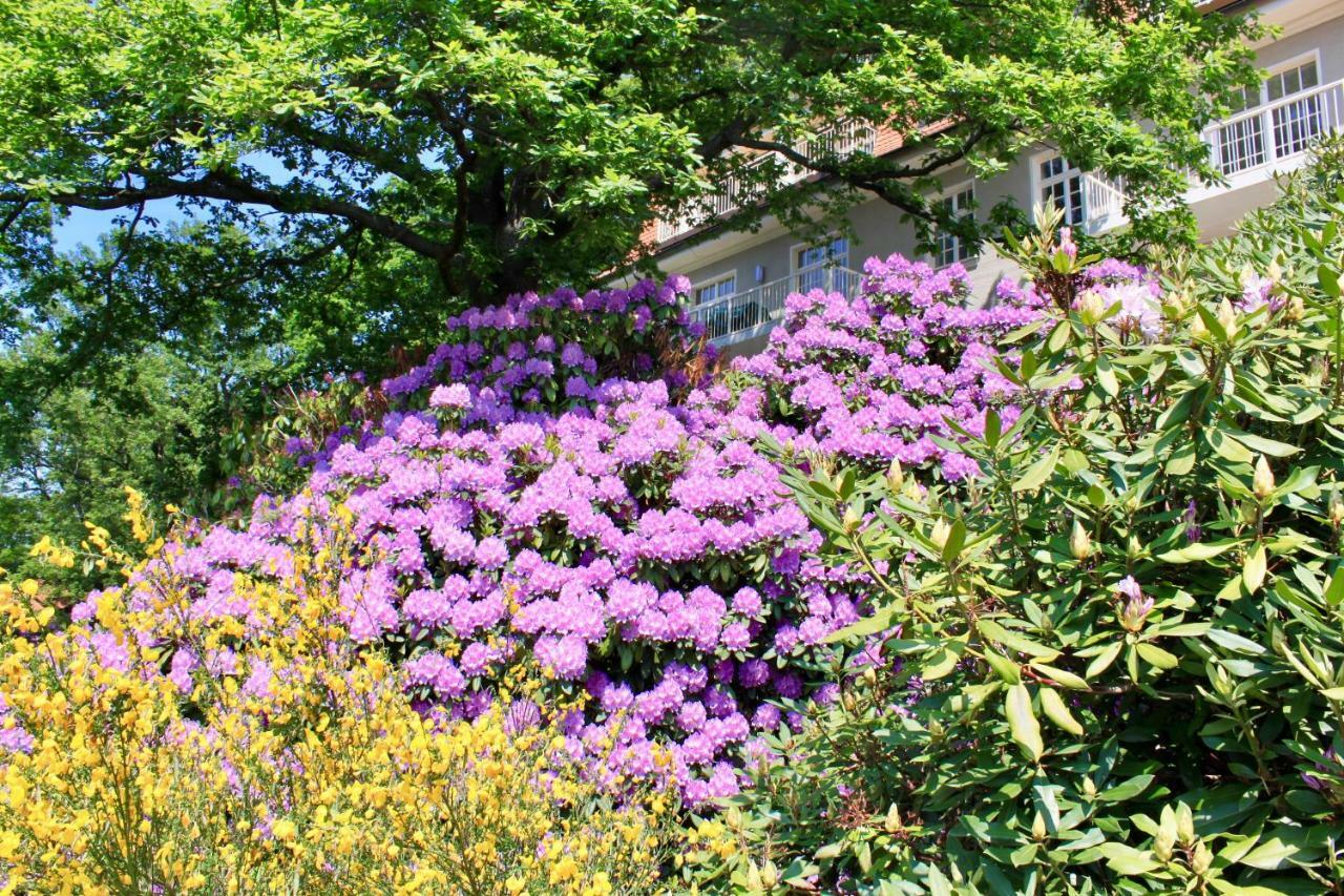 Ferienwohnung Natur Und Kunst Dresden Ngoại thất bức ảnh