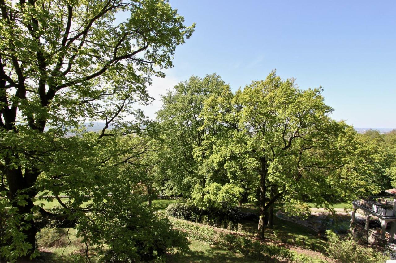 Ferienwohnung Natur Und Kunst Dresden Ngoại thất bức ảnh