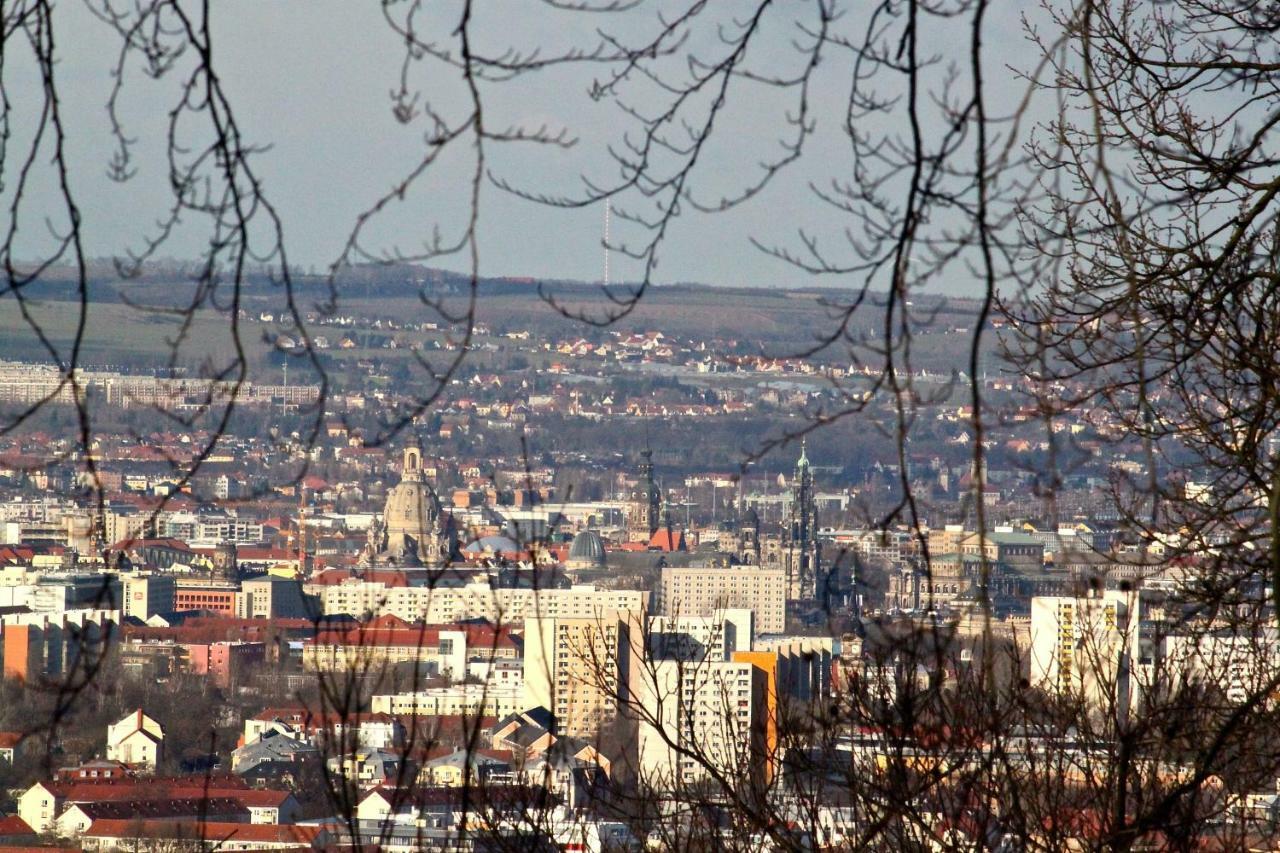 Ferienwohnung Natur Und Kunst Dresden Ngoại thất bức ảnh