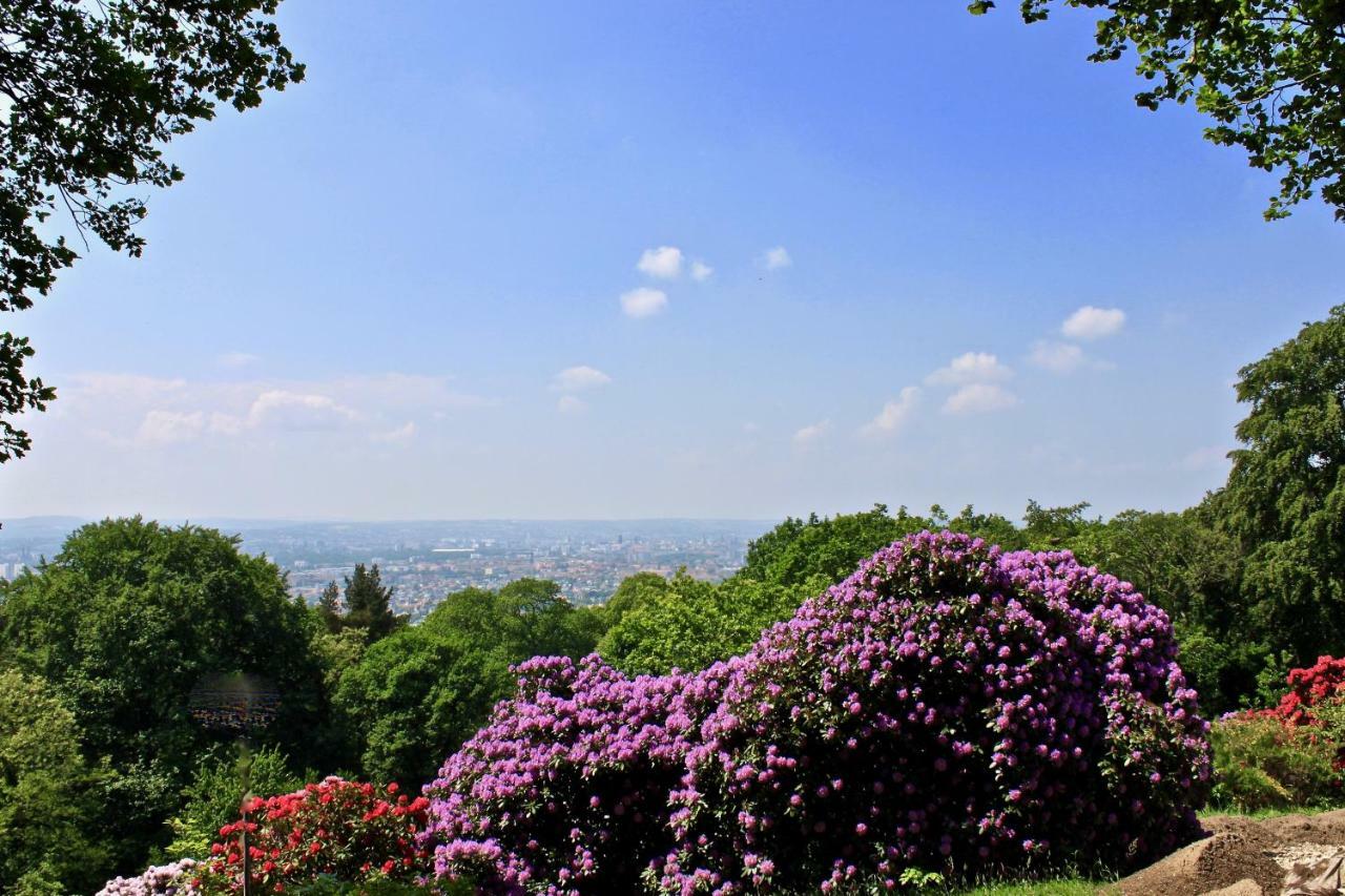 Ferienwohnung Natur Und Kunst Dresden Ngoại thất bức ảnh