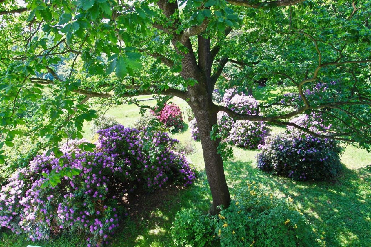 Ferienwohnung Natur Und Kunst Dresden Ngoại thất bức ảnh