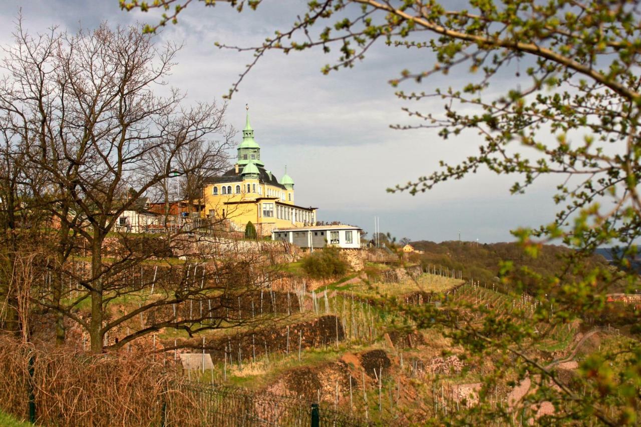Ferienwohnung Natur Und Kunst Dresden Ngoại thất bức ảnh