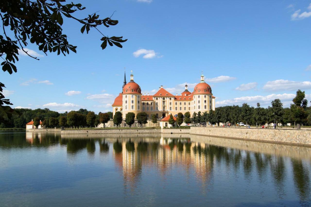 Ferienwohnung Natur Und Kunst Dresden Ngoại thất bức ảnh