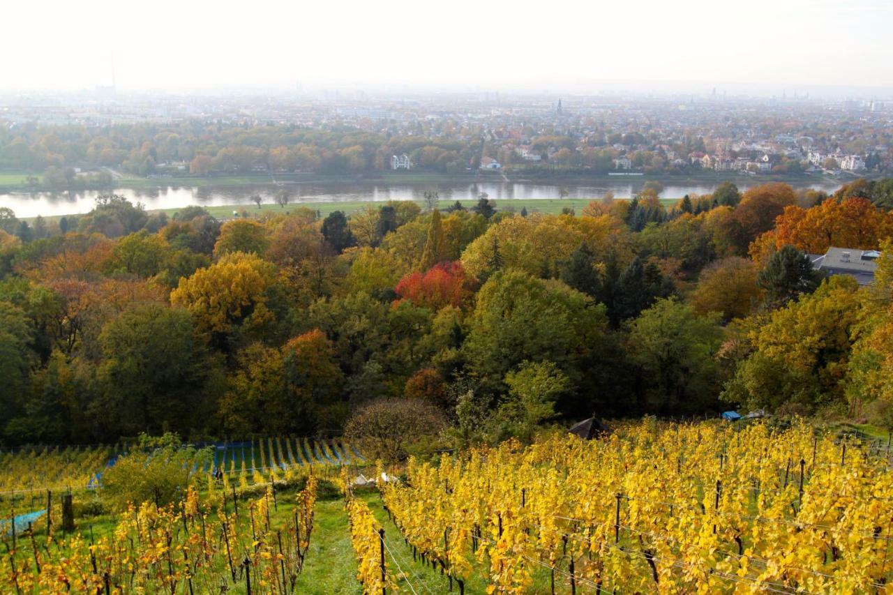 Ferienwohnung Natur Und Kunst Dresden Ngoại thất bức ảnh